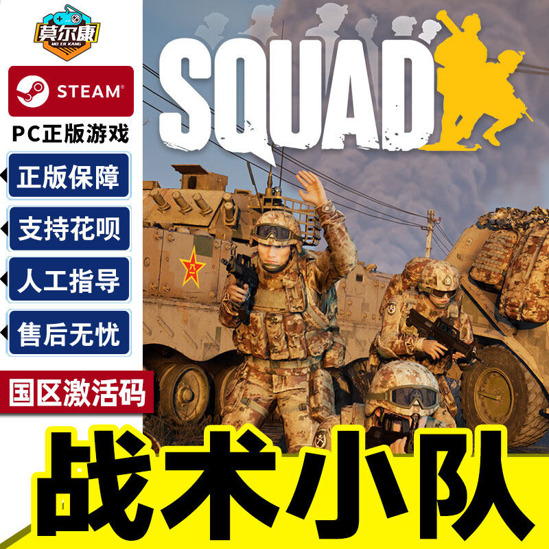 steam 战术小队 激活码cdkey Squad 国区秒发 PC中文正版游戏怎么看?