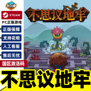 CDK 激活码 Lord Ambermaze PC游戏 Steam 国区正版 不思议地牢
