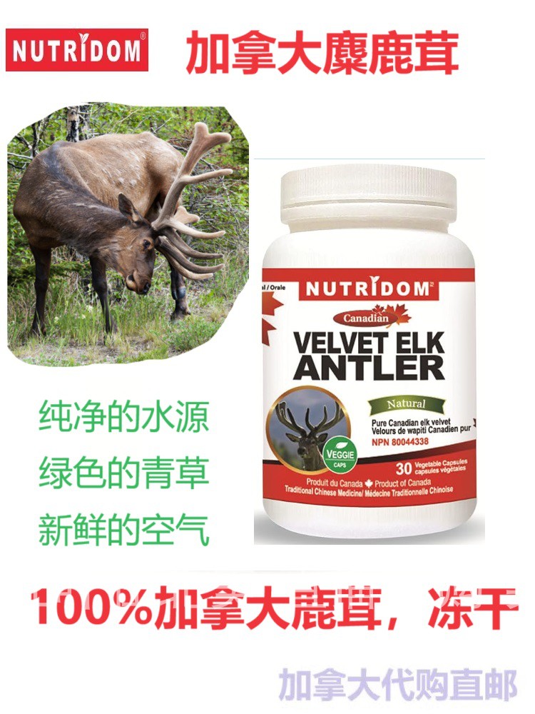 加拿大直邮保健品代购鹿茸