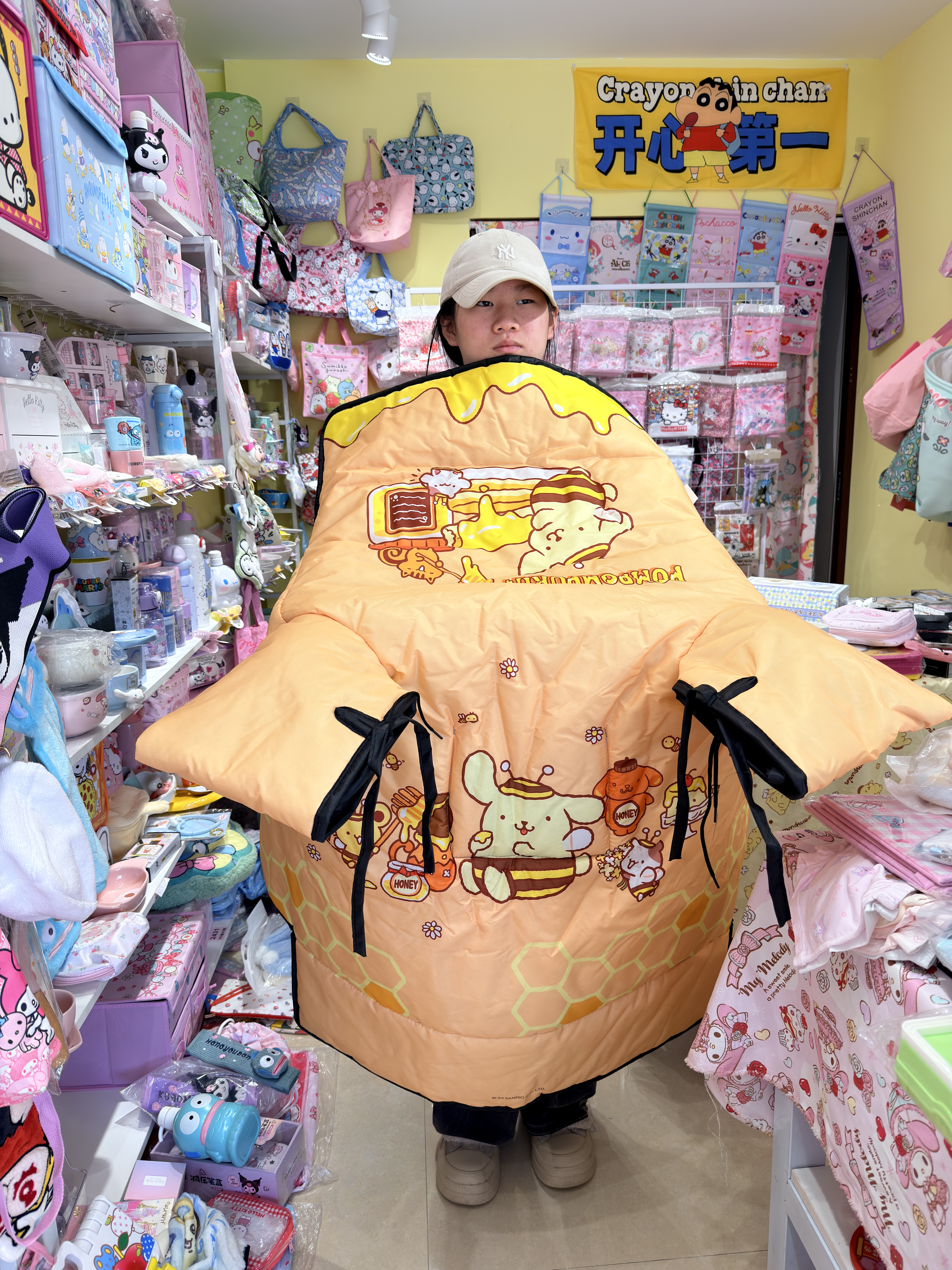 三丽鸥布丁狗正版电动车摩托车挡风被防水防风,电动车/配件/交通工具,电动车挡风被,淘宝优惠券,粉丝福利购,淘宝优惠卷