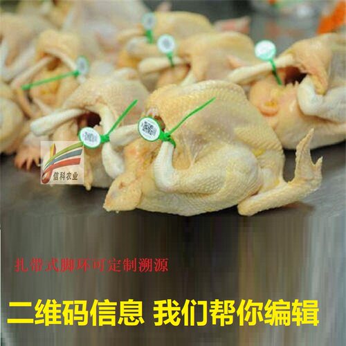 二维码二维码家禽鸡鸭鹅
