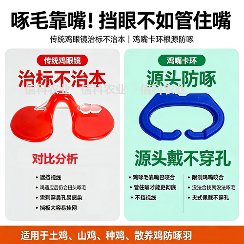 鸡眼镜新品信科农业防啄更彻底