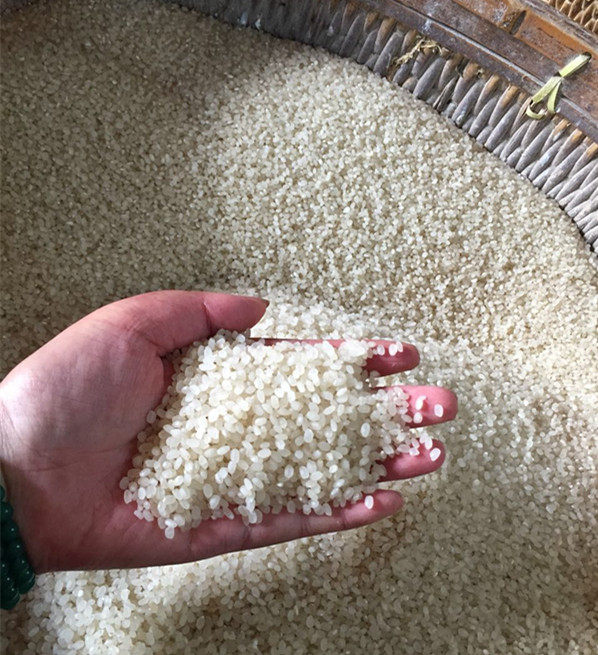 东台农家现磨新大米香粳米非五常稻花香香大米 10斤包邮 五育梗米