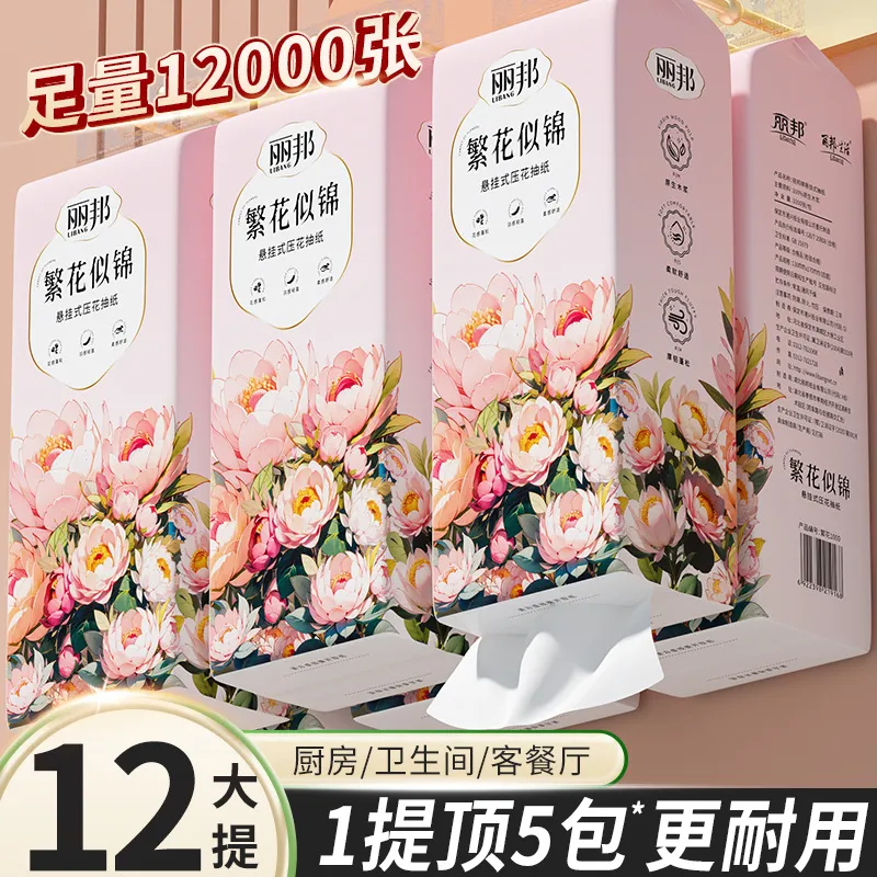 丽邦提挂式抽纸悬挂抽取式卫生纸家用擦手纸厕纸大包平板卫生纸巾