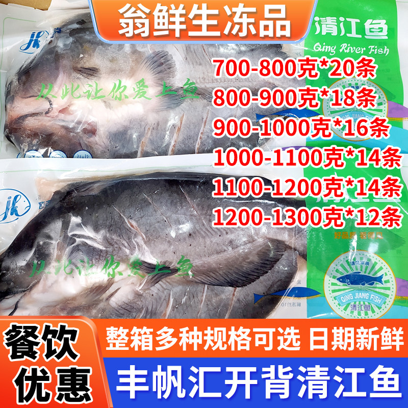 丰帆汇开背清江鱼鲜活加工冷冻