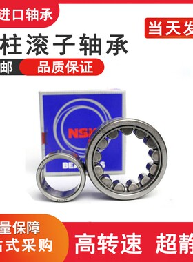 进口NSK圆柱滚子轴承NUP RN NF218 219 220 221 222 224 226EM EW