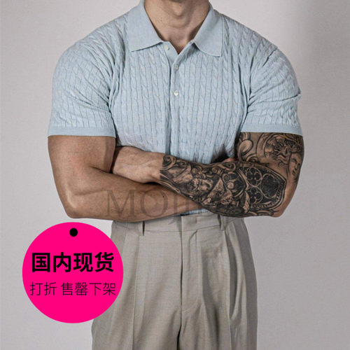 【特价现货】韩国东大门男装精工麻花纹针织POLO衫短袖T恤-TS2804