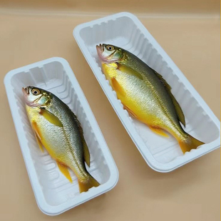 深海大黄鱼长方形PP白色加厚食品级包装盒冷冻冷藏保鲜吸塑盒批发