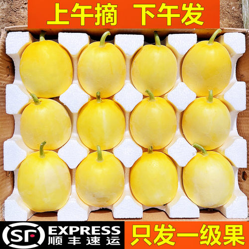 正宗小蜜蜂甜瓜！超甜！顺丰！