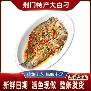 湖北荆门特产大白刁子鱼农家自制干货腊鱼淡水白鱼翘嘴鱼干腊肉