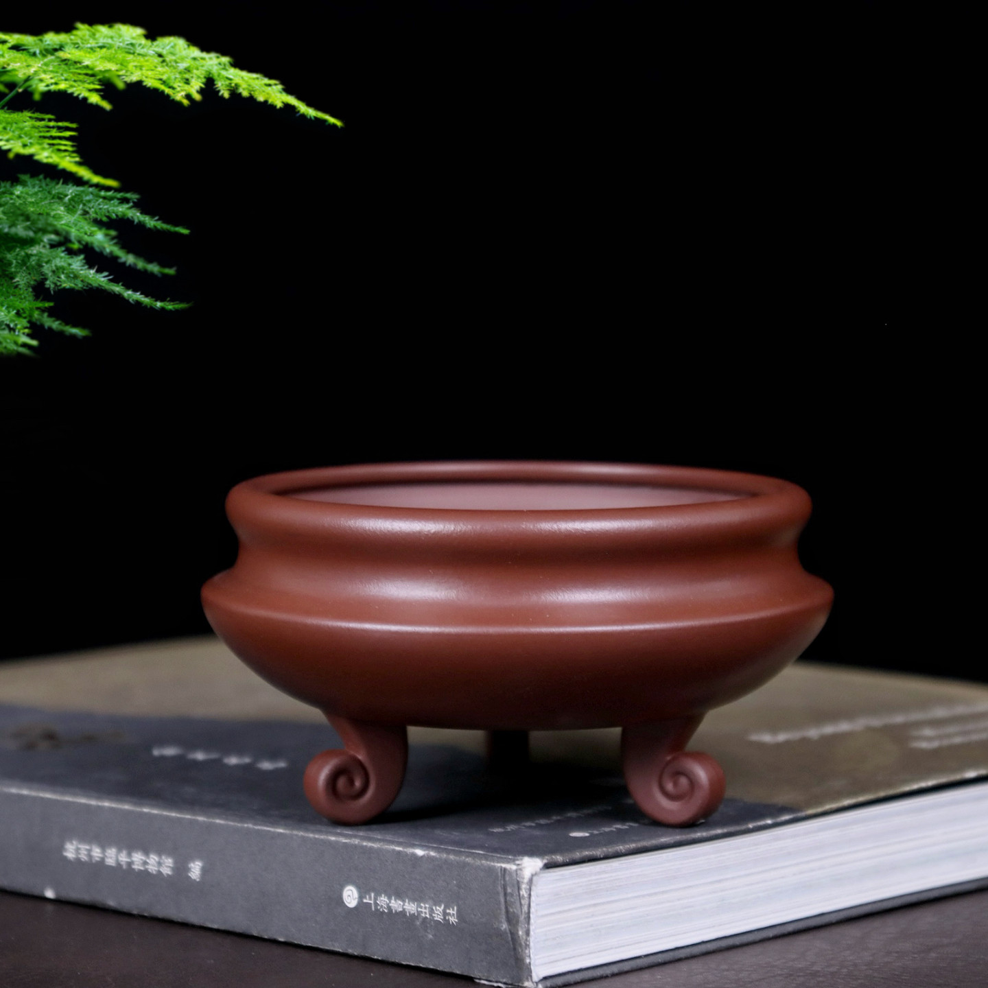 精品微型紫砂花盆圆形小多肉菖蒲金弹子黄杨绿植盆景盆掌上盆栽盆