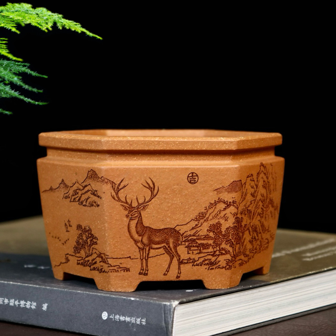 特价精品六方形紫砂花盆手工小多肉菖蒲云竹金弹子盆景盆桌面盆栽