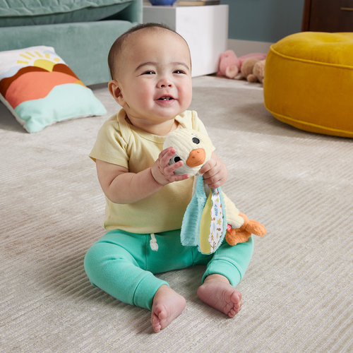 费雪抱抱鹅安抚巾哄睡玩具