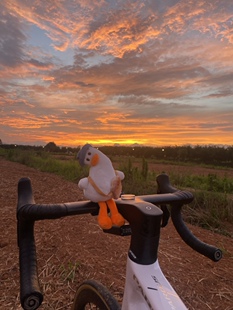坐立歪头小白鸭公路山地自行车装饰玩具玩偶,精工-时速36不歪
