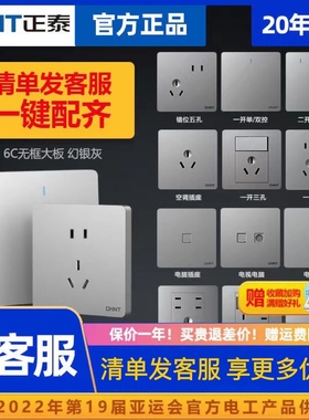 正泰开关插座86型暗装大板二三插带五孔usb电源墙壁面板6C银灰色