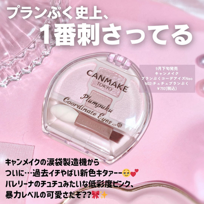 日本本土采购 canmake井田卧蚕眼影盘泪袋盘25年新色N02