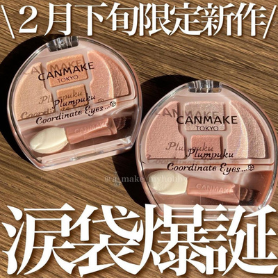 井田眼部修饰卧蚕四色眼影