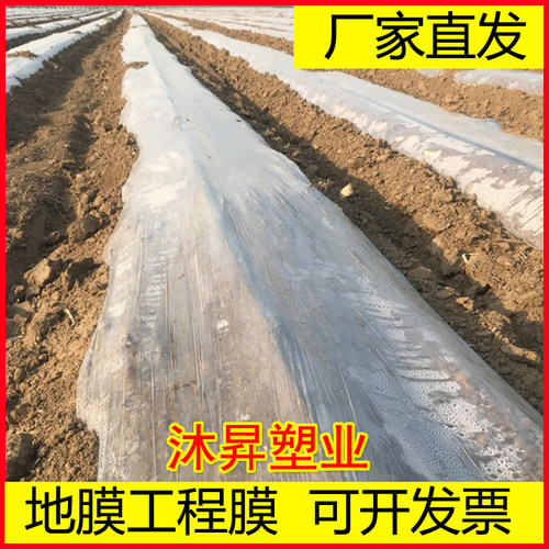 塑料透明混凝土养护地膜