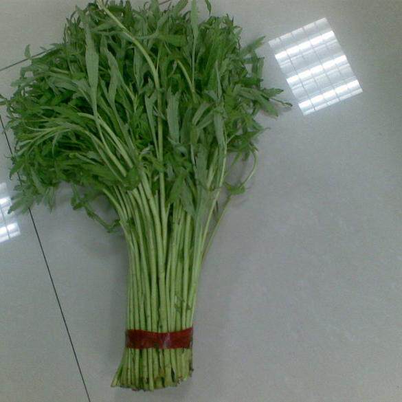 芦蒿藜蒿蒿子包邮南京新鲜蔬菜