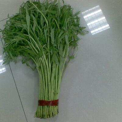 芦蒿藜蒿蒿子包邮南京新鲜蔬菜