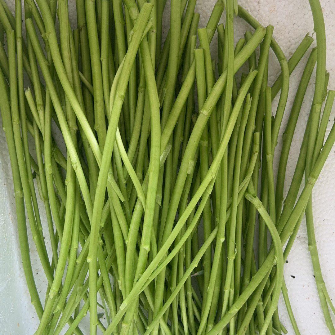 南京八卦洲特产芦蒿净菜摘叶摘老叶菜类