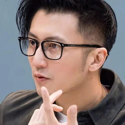 2025谢霆锋同款板材超轻全框近视眼镜框商务显瘦男眼镜架5175-D