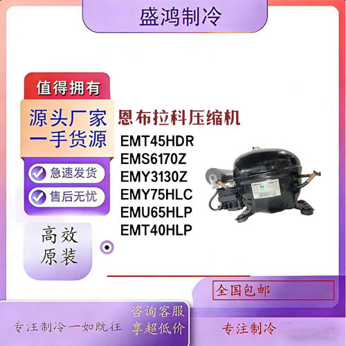 恩布拉科压缩机EMS6170Z全新