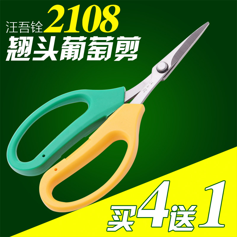 汪吾铨2108葡萄剪 园林果树剪刀弯头翘头园艺剪修枝剪 盆栽果枝剪