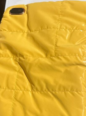 DH 暖手宝 黄色 发一个