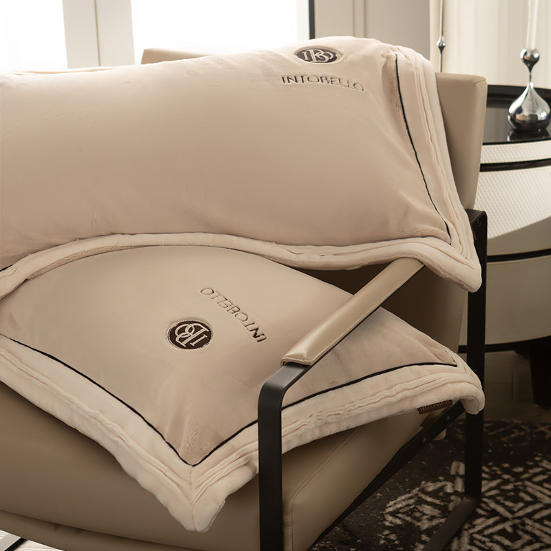 法国进口秋冬保暖牛奶绒四件套加厚简约立暖绒床单被套床上用品