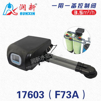 润新水处理设备店 润新阀一阀双罐控制阀一用一备 17603 F73A 3吨