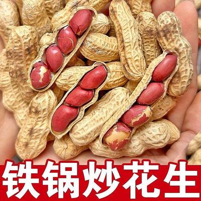 25年新货现炒熟花生原味新鲜带壳花生农家铁锅柴火炒熟红皮生花生