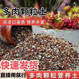 多肉颗粒土多肉专用营养土壤种植土透气土小苗铺面石纯颗粒花土