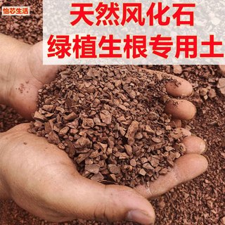 天然风化土风化石颗粒土铺面金弹子专用土盆景扦插酸性土红土沙土