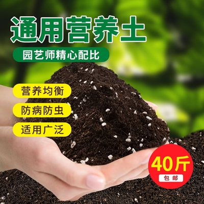 营养土养花通用型种菜专用种花土壤花肥多肉家用盆栽种植花土发酵