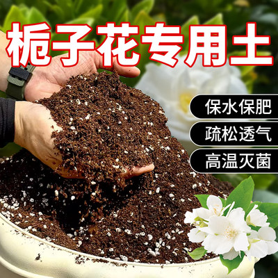 种栀子花专用土营养土栀子花肥料专用肥通用桅子花土壤泥土种植土