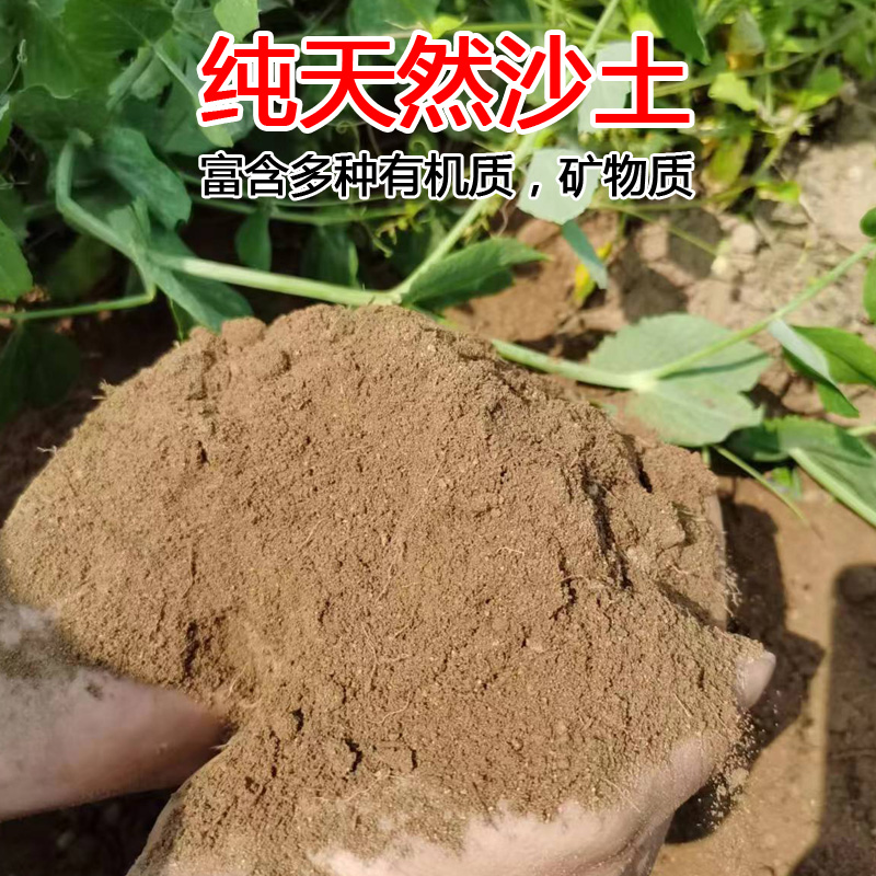 天然沙土沙壤土种菜养花盆栽花卉专用种植土细沙土壤通用田园土