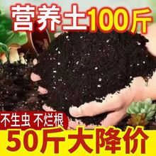 多肉颗粒土有机营养土养花专用通用型种菜土壤种植种花花土