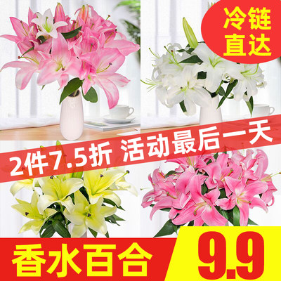 香水百合母亲节鲜花基地直发