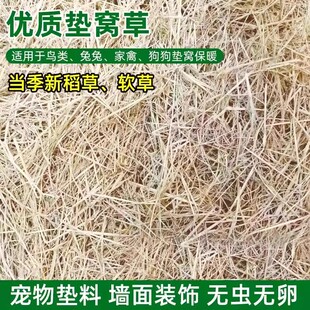 稻草干草垫料兔子过冬草狗窝鸡宠物垫窝天然干稻草秸秆禾杆草保暖