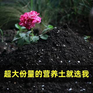 通用型营养土种菜土花土种花养花种植土壤多肉绿萝种植种植土批发