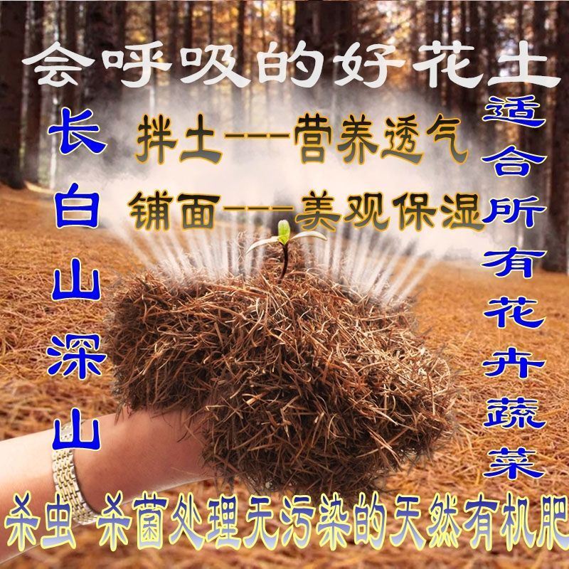 腐熟松针土发酵兰花专用腐殖土有机营养土养花种菜土壤通用型批发