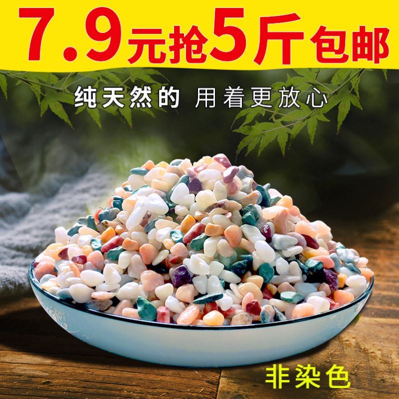 纯天然多肉铺面彩石彩色小石子