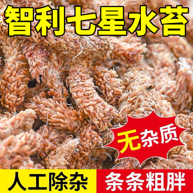 智利水苔进口干苔藓干水苔蝴蝶兰专用土兰花土乌龟冬眠智力包邮柱