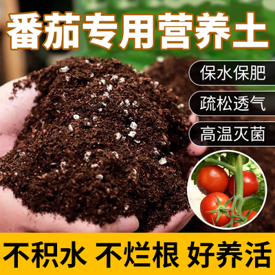 rte其他ho/红茄营肥用番