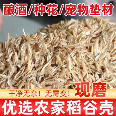 新鲜现磨农家稻壳谷壳清仓批发酿酒酿醋芦丁鸡发酵床垫料枕头填充