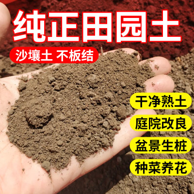 天然沙土沙壤土种菜种花盆栽绿植专用种植土细沙土壤通用田园土