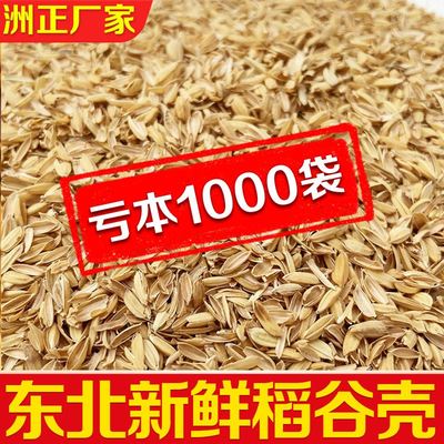 稻谷壳100斤清仓稻壳特价酿酒发酵做枕芯动物垫料东北优质谷壳5斤