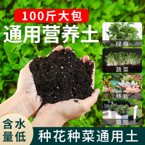 多肉植物专用营养土，科学配比