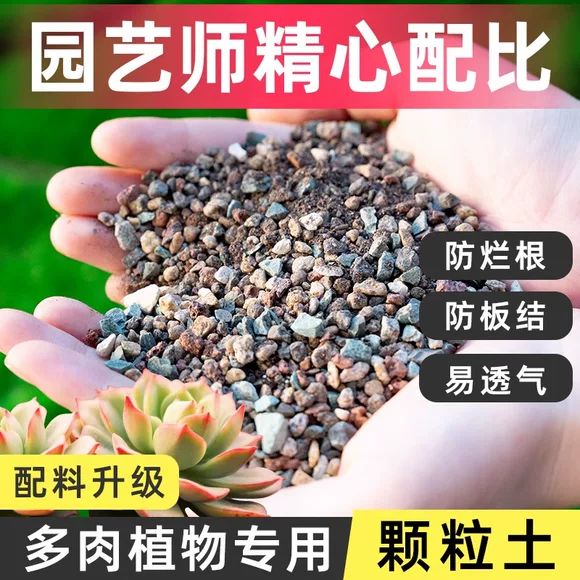 多肉营养土专用颗粒土栽培土进口泥炭种植土壤叶插花土纯铺面彩石